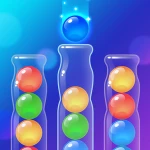 小球分类大挑战